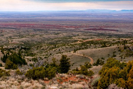 20200504 Pryor Mtns 167