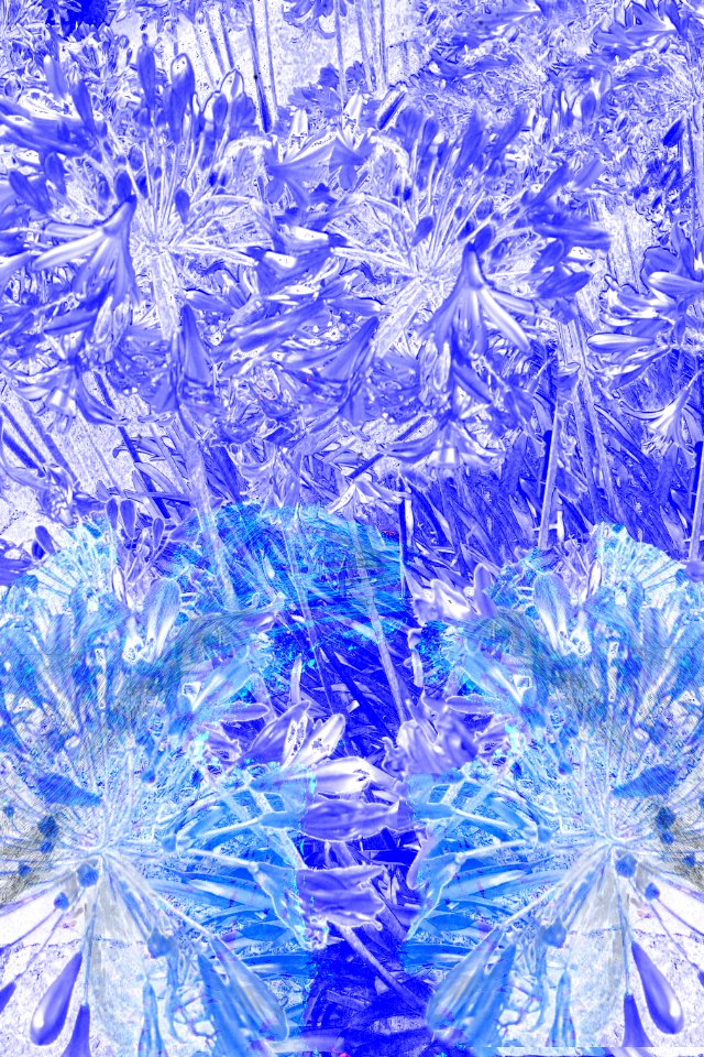 agapanthus abstract