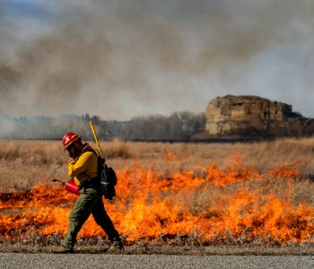 Pompeys Pillar Rx Burn