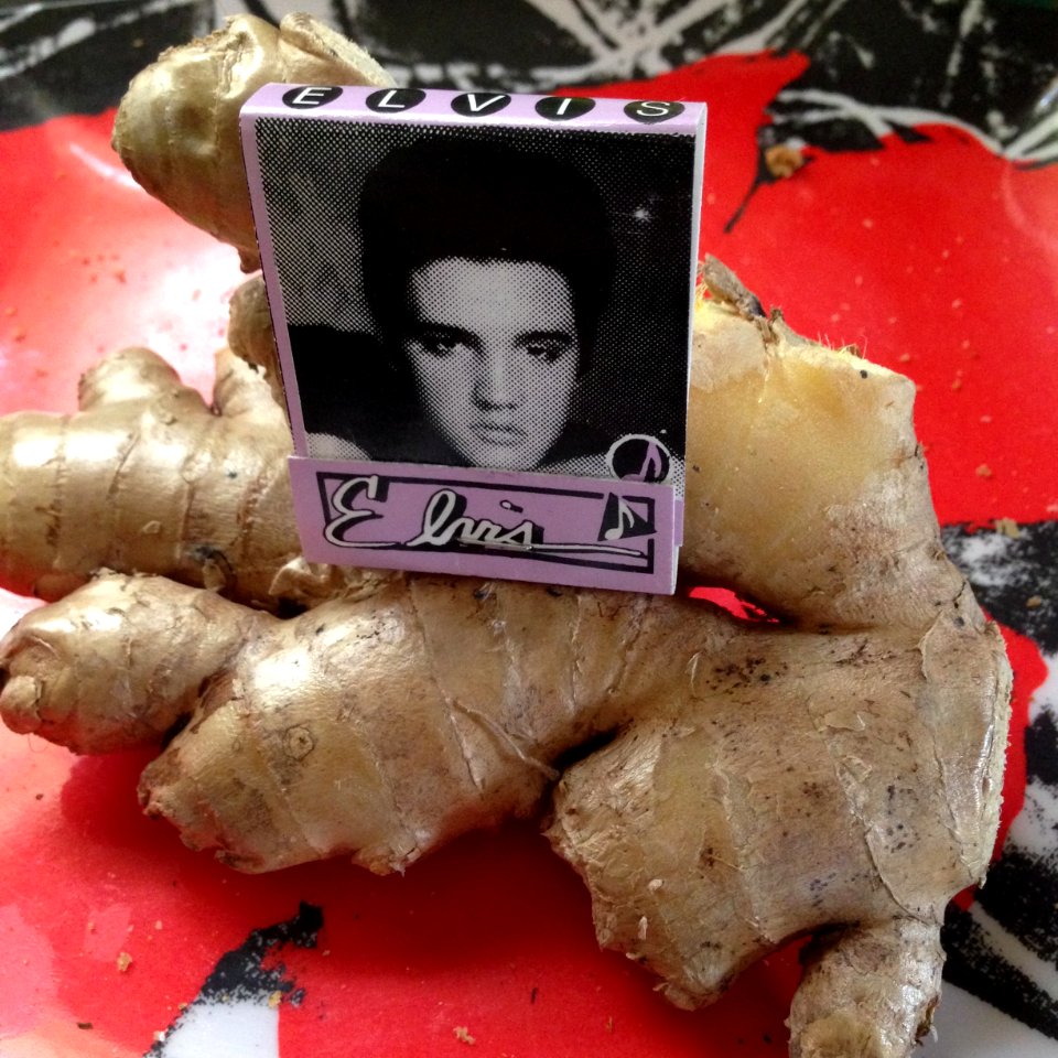 Elvis And Ginger