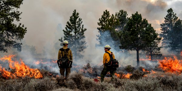 Kendall Coulee South Rx Fire photo