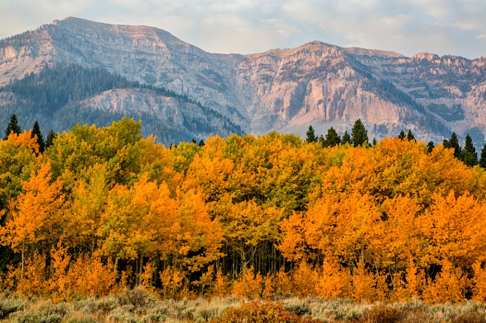 centennial mtns WSA - DFO  Photo by Bob Wick of California BLM