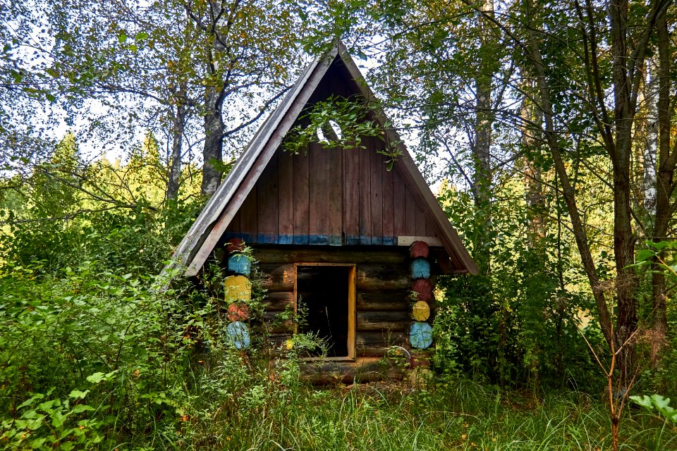 Abandoned children's camp