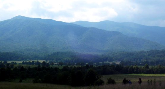 CadesCove WildlifeOverview Site01.jpg