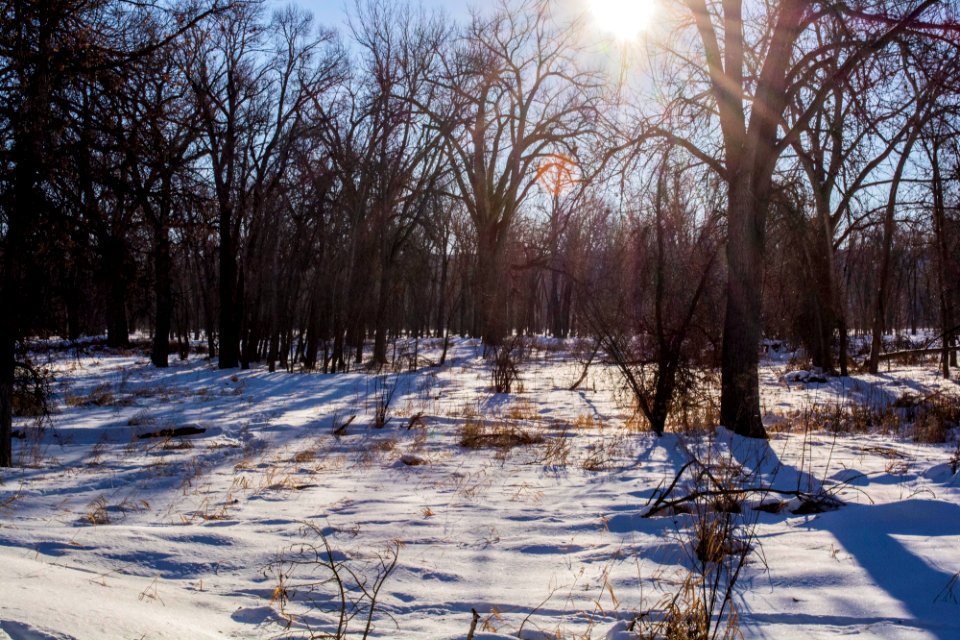 Sundance Lodge Recreation Area