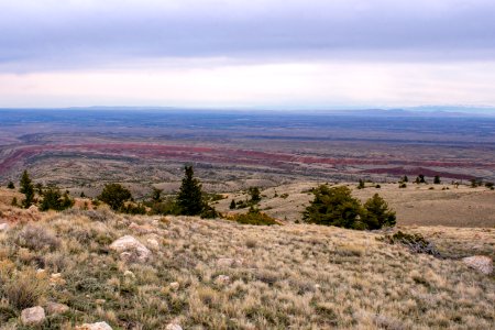 20200504 Pryor Mtns 35