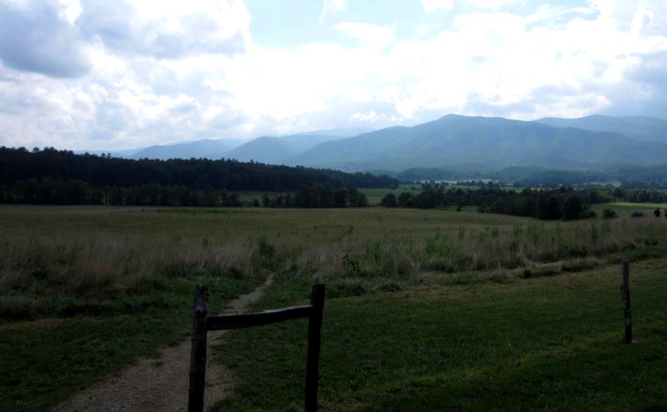CadesCove WildlifeOverview Map.jpg