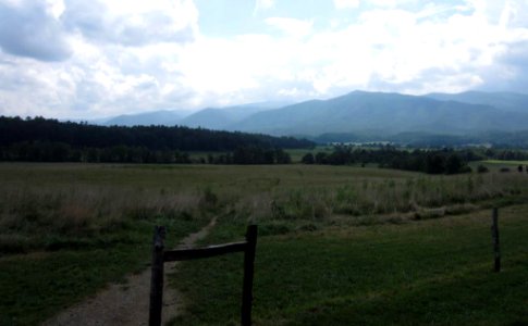 CadesCove WildlifeOverview Map.jpg