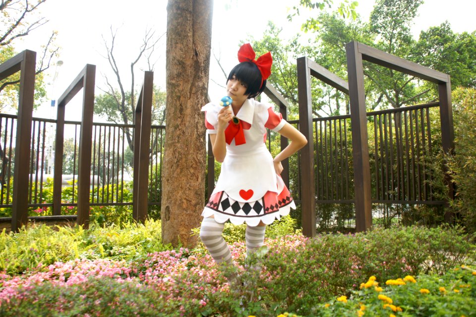 DSC08237