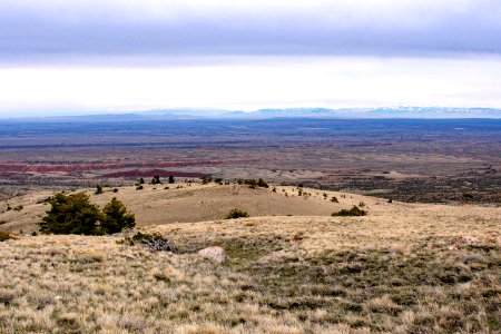 20200504 Pryor Mtns 36