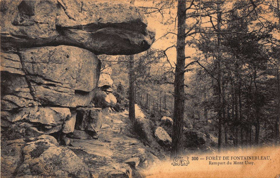 300 - FORET DE FONTAINEBLEAU - REMPART DU MONT USSY