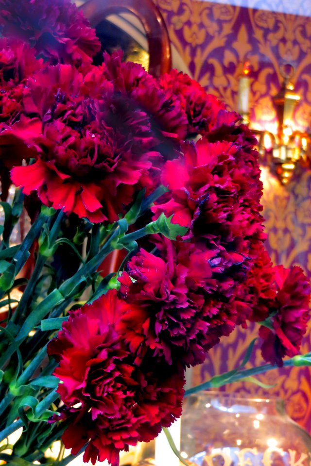 red carnations