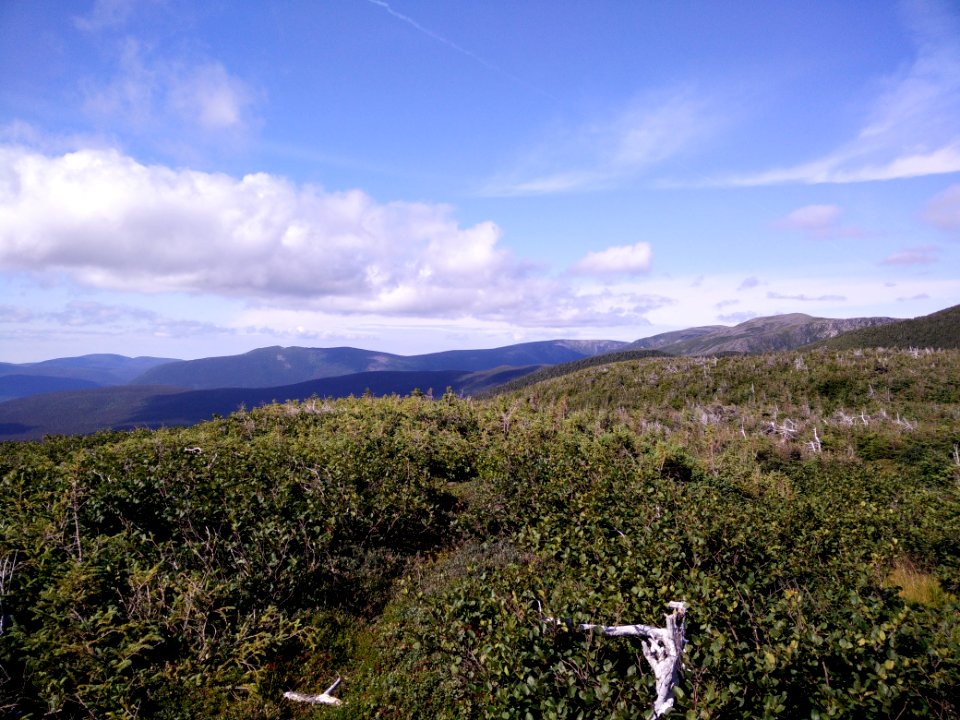 083 - Parc national de la Gaspésie : Mont Joseph-Fortin