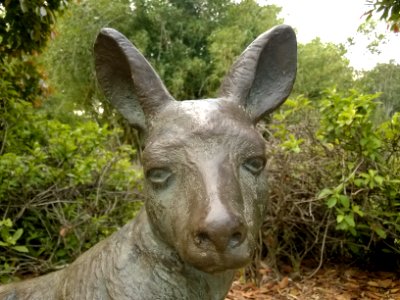 Kangaroo statue photo
