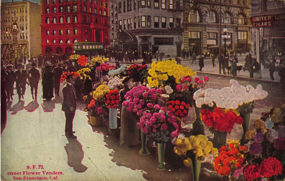 S.F.72.STREET FLOWER VENDERS SAN FRANCISCO CALIFORNIA