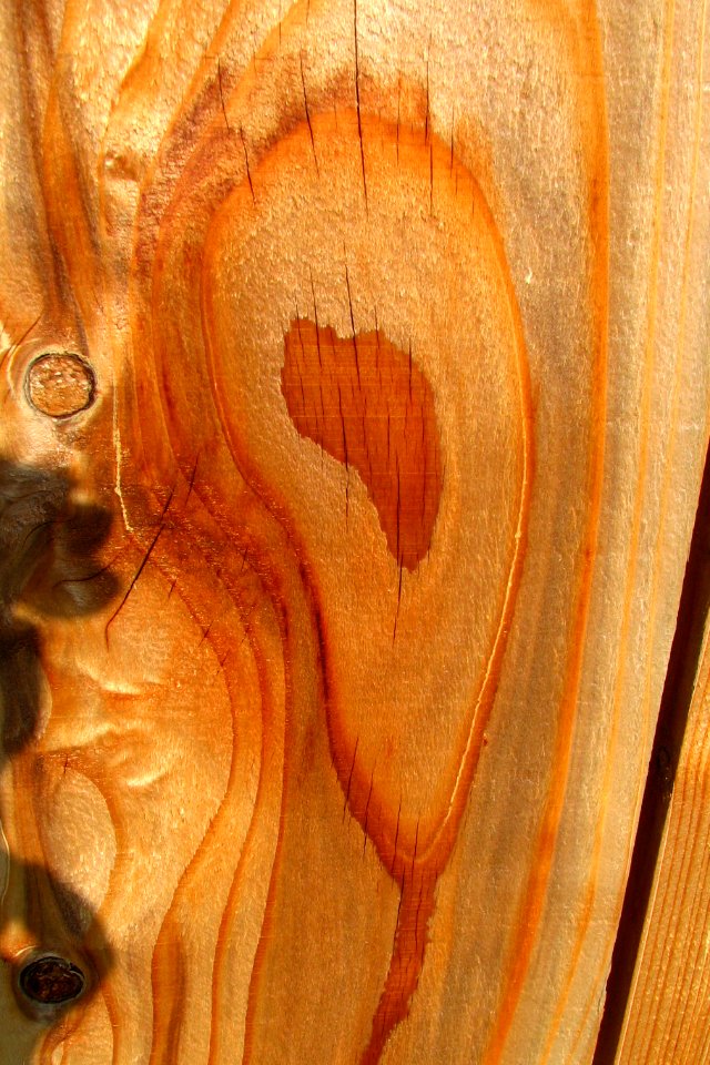 wood texture 3