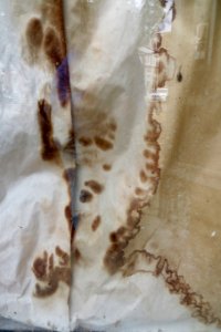 burned paper