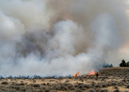 Kendall Coulee South Rx Fire photo