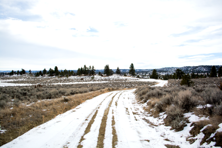 Acton Recreation Area