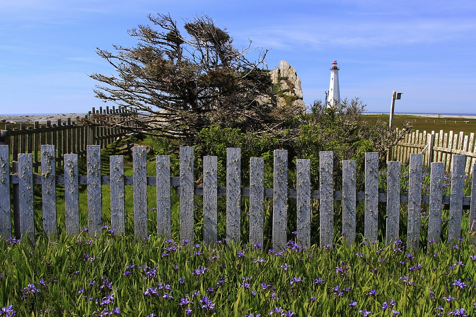 Coast fence landscape