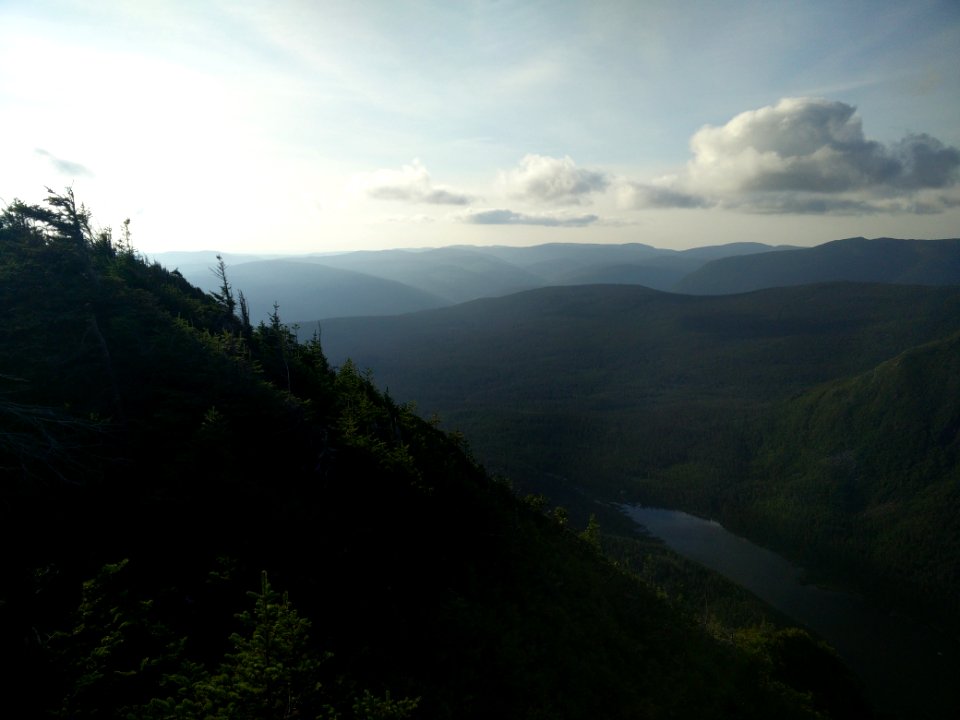 107 - Parc national de la Gaspésie : Mont Joseph-Fortin