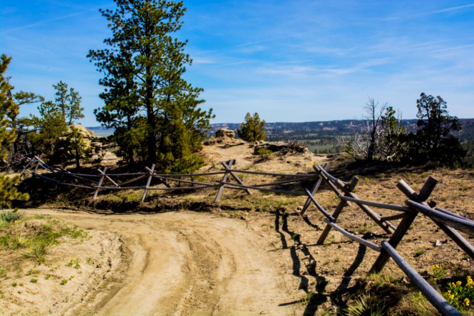 Acton Recreation Area