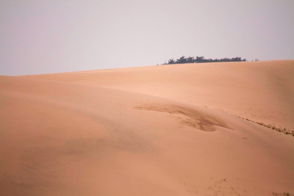 사막 모래 沙漠 沙丘 Desert Sand