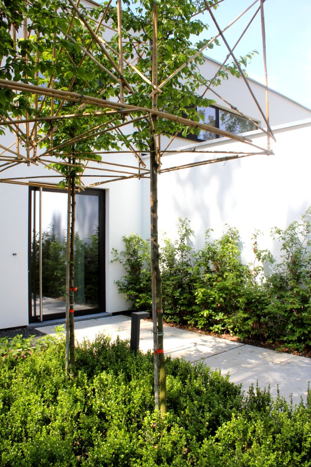 Eurodal - tuin Rosquin Schilde