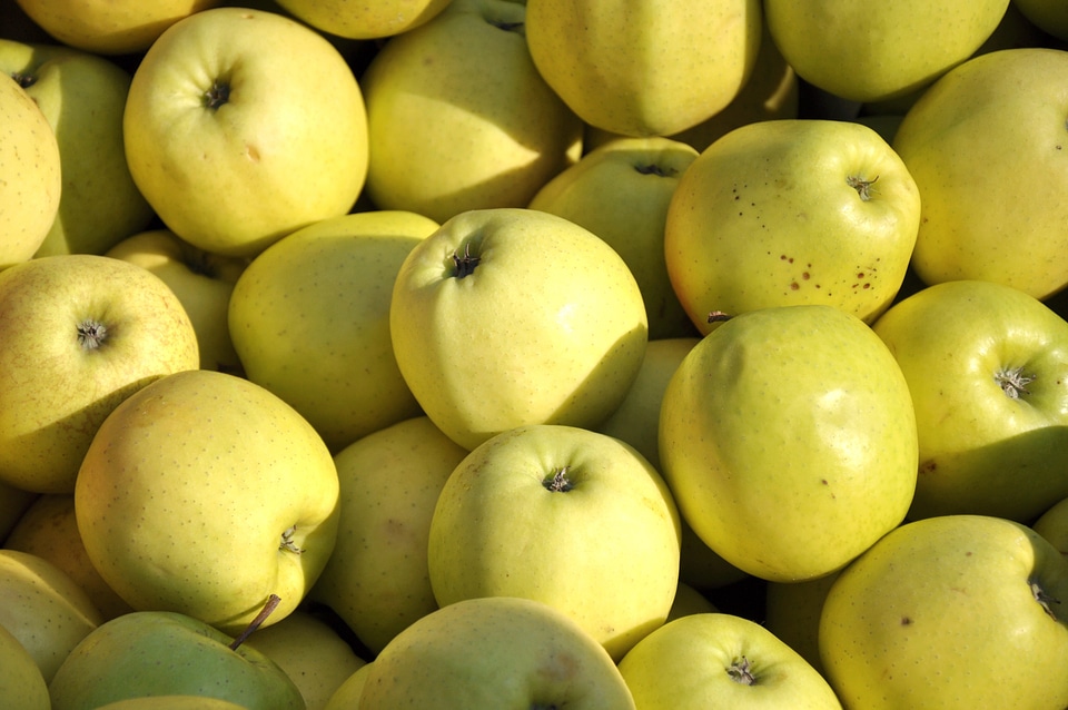 Apple fruit food
