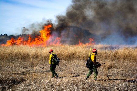 Pompeys Pillar Rx Burn March 2020
