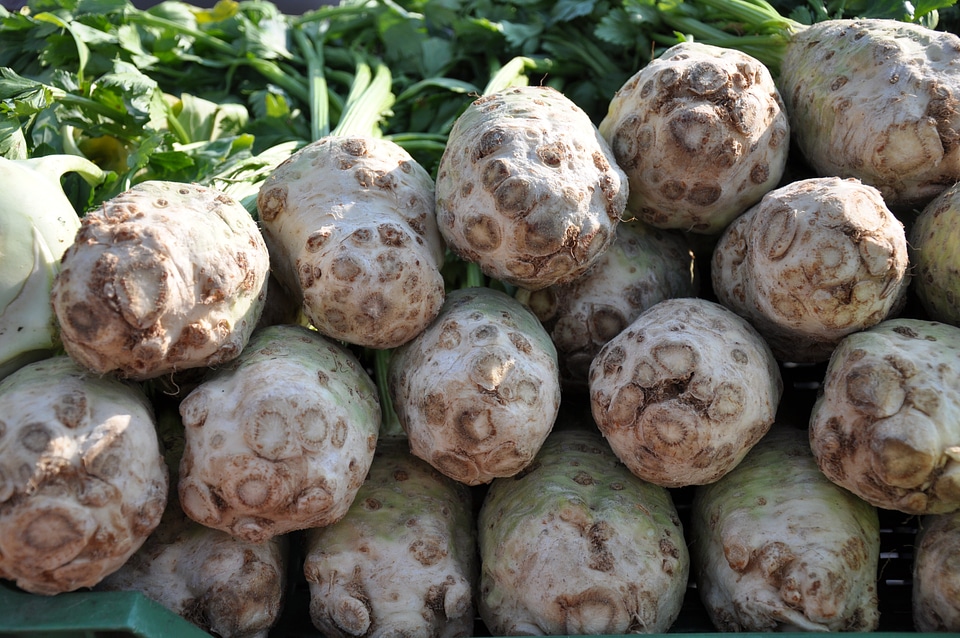 Vegetables celery food