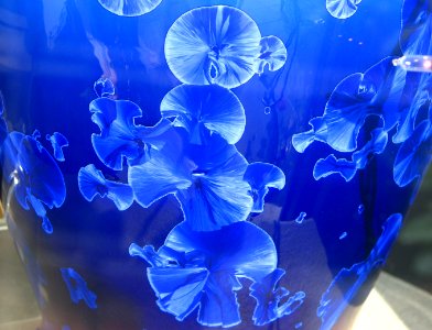 jellyfish-like blue pottery design photo