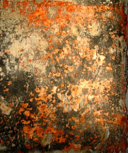 rusty distressed wall (Angel Island) photo