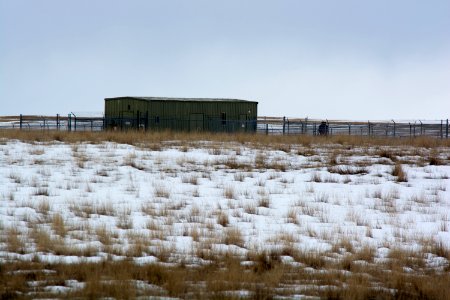 DSC 0012