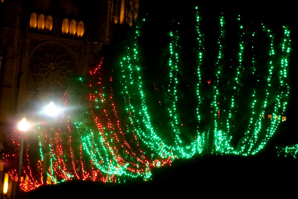Xmas lights 1