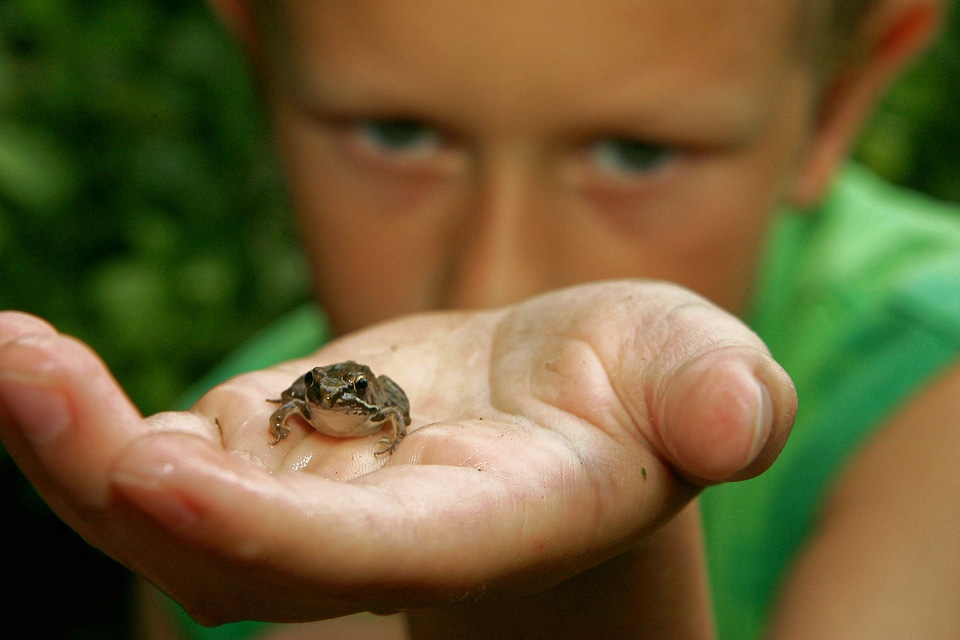 Hand wildlife nature