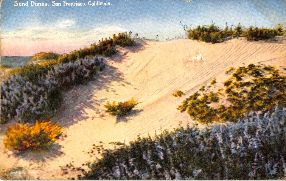 SAND DUNES SAN FRANCISCO CALIFORNIA