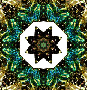 kaleidoscope (3) photo