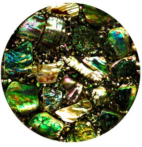 abalone shell pendant 2 photo