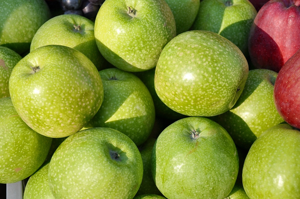 Apple fruit food