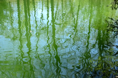 water texture with distorted green reflections photo