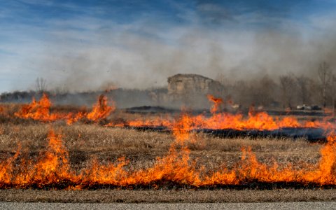 Pompeys Pillar Rx Burn