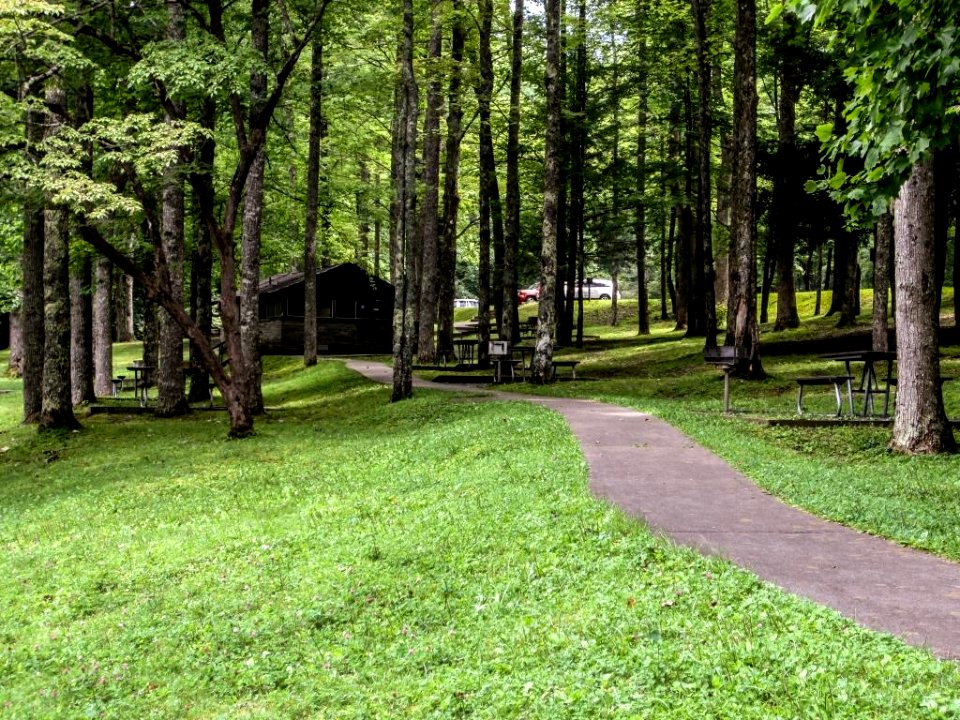 Cosby PicnicPavilion Site02.jpg