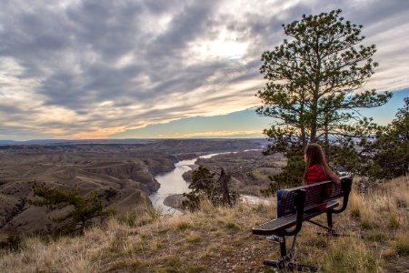 Four Dances from the top 219 photo