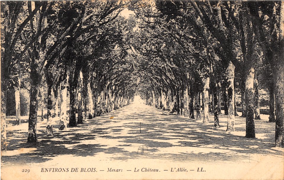 229 MENARS - LE CHATEAU - L'ALLEE