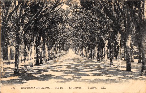 229 MENARS - LE CHATEAU - L'ALLEE