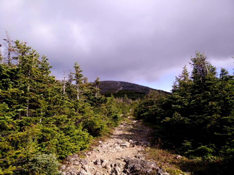 092 - Parc national de la Gaspésie : Mont Richardson
