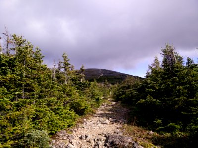 092 - Parc national de la Gaspésie : Mont Richardson