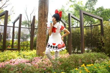 DSC08236