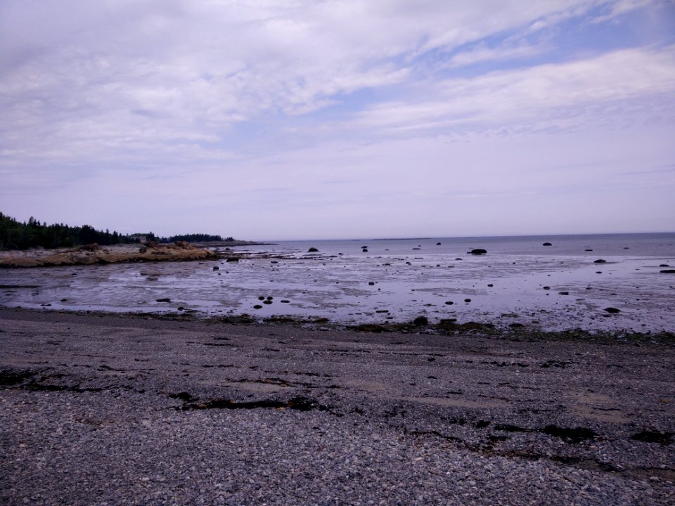 243 - Parc national du Bic : Le Chemin-du-Nord